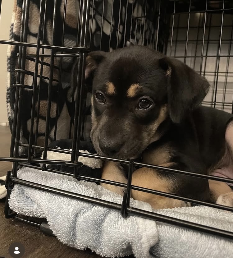 Geary_Is_Herey โ๏ธโ๏ธ tweet media