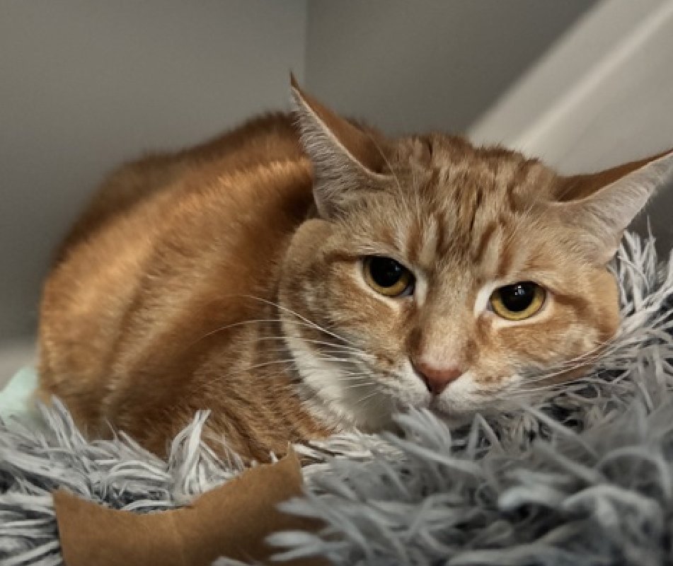 Jack5928 tweet media