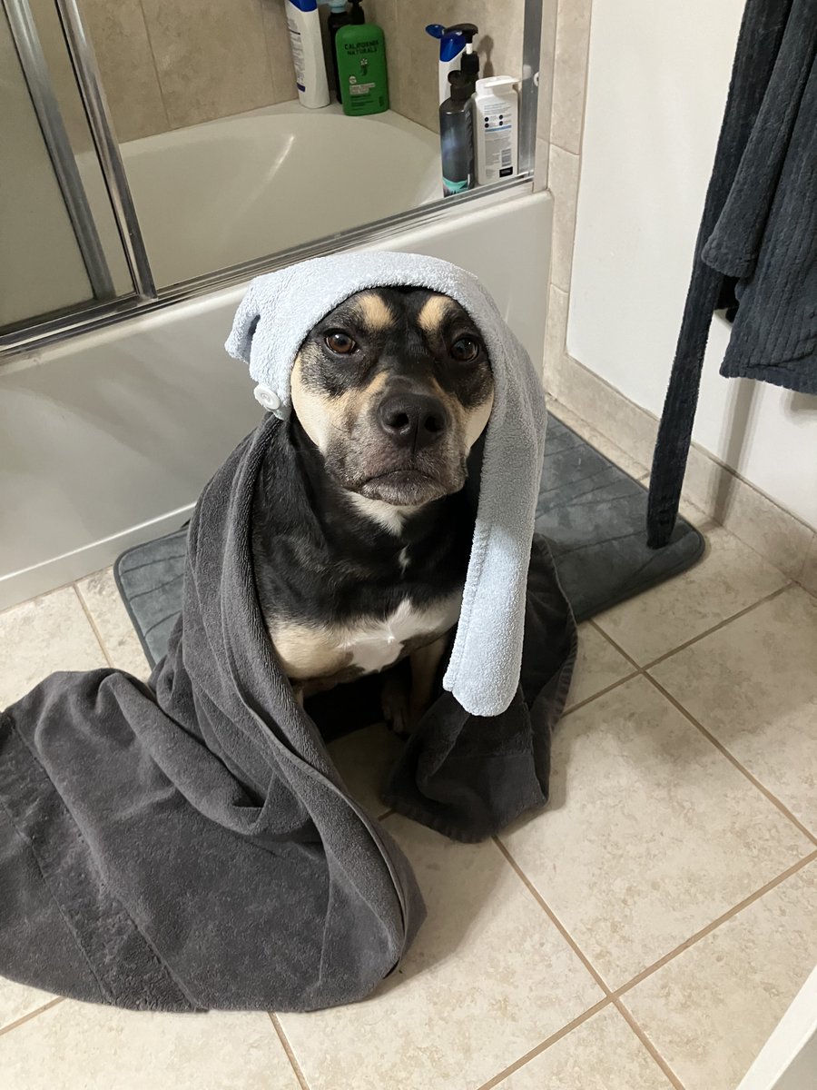 Geary_Is_Herey โ๏ธโ๏ธ tweet media