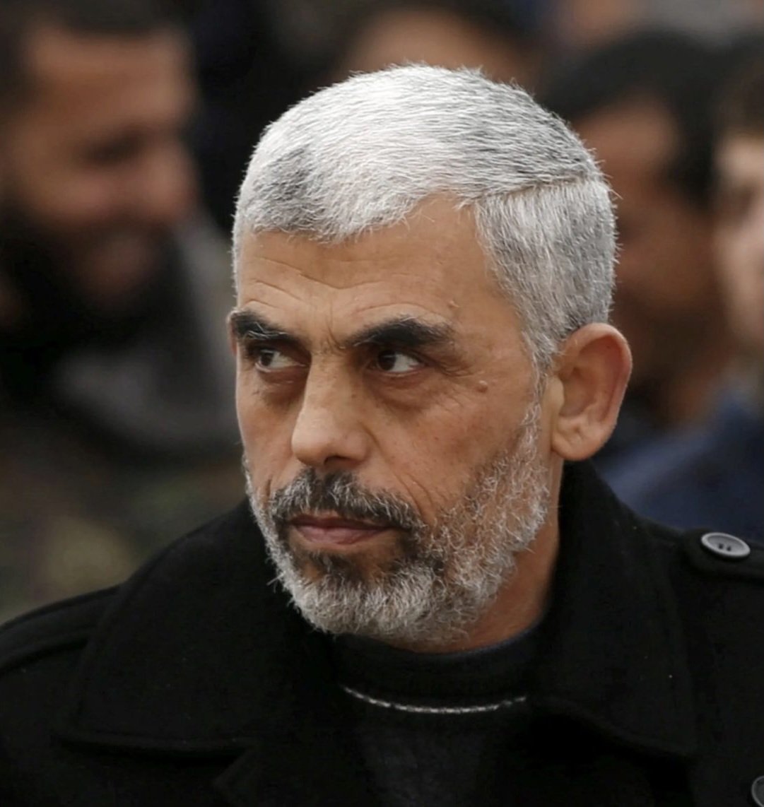 VVIREZD ☢️⚡️ tweet media