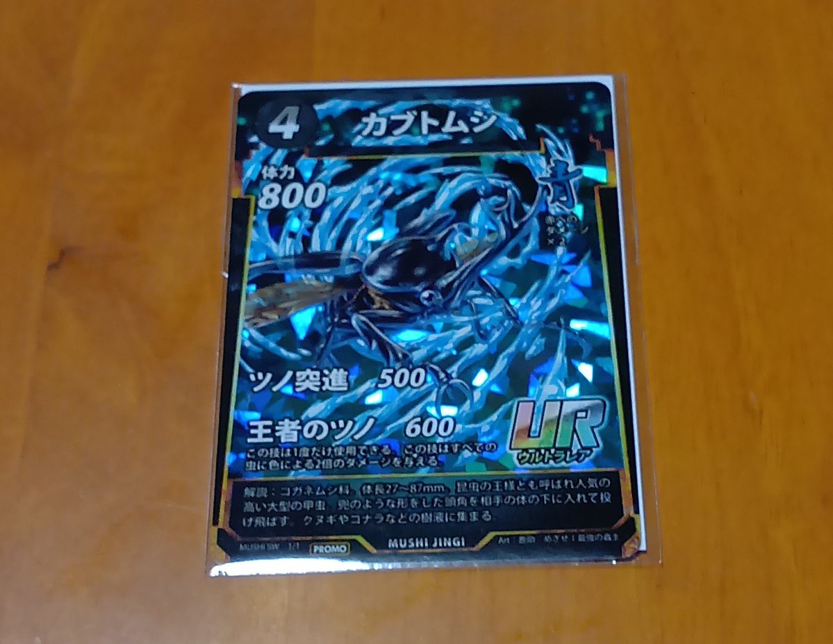 楽しいむーぽん一家（睦月@親娘蟲主） tweet media