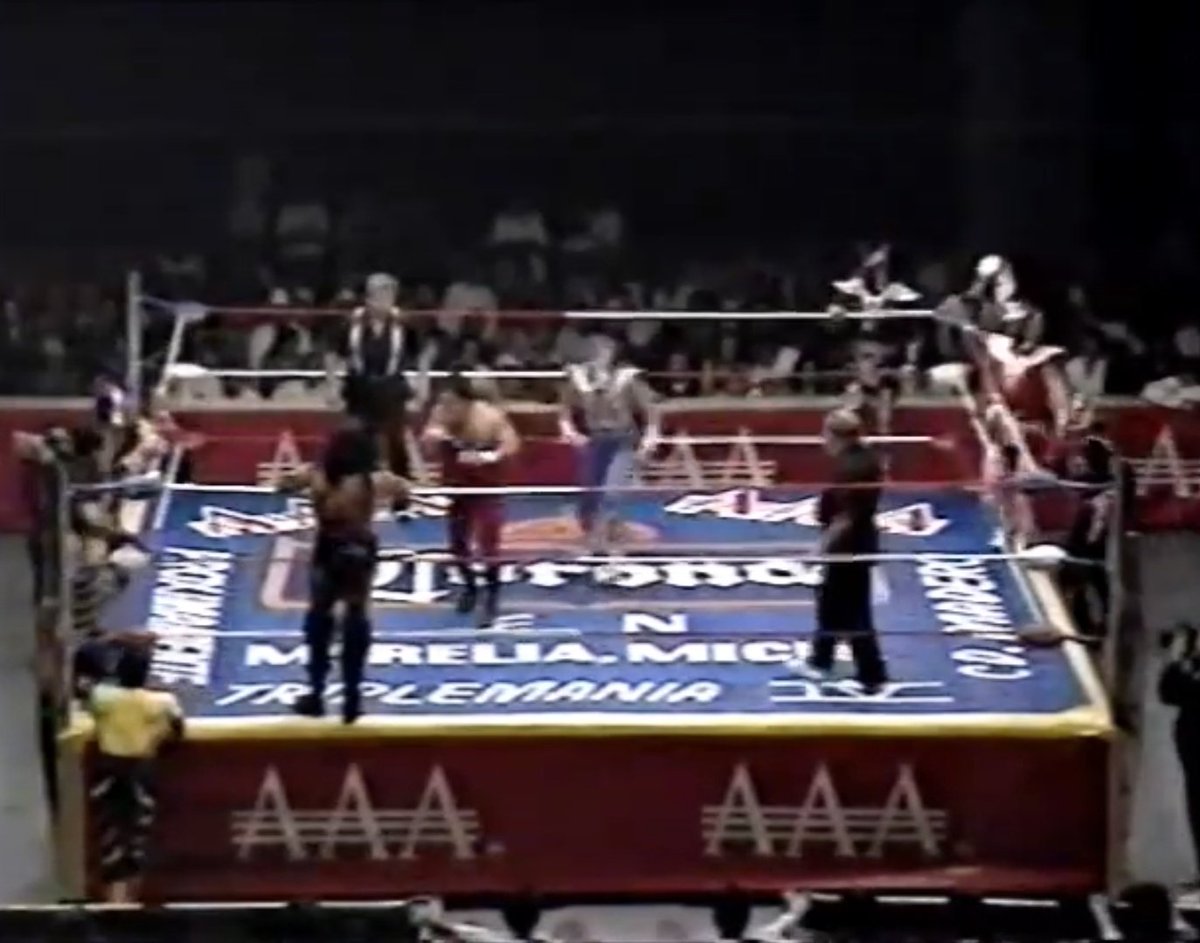 RobViper tweet media