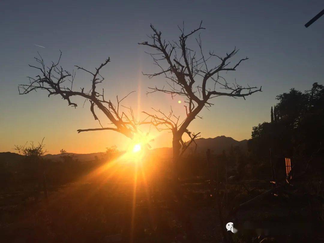 Joerg Drittenbass tweet media