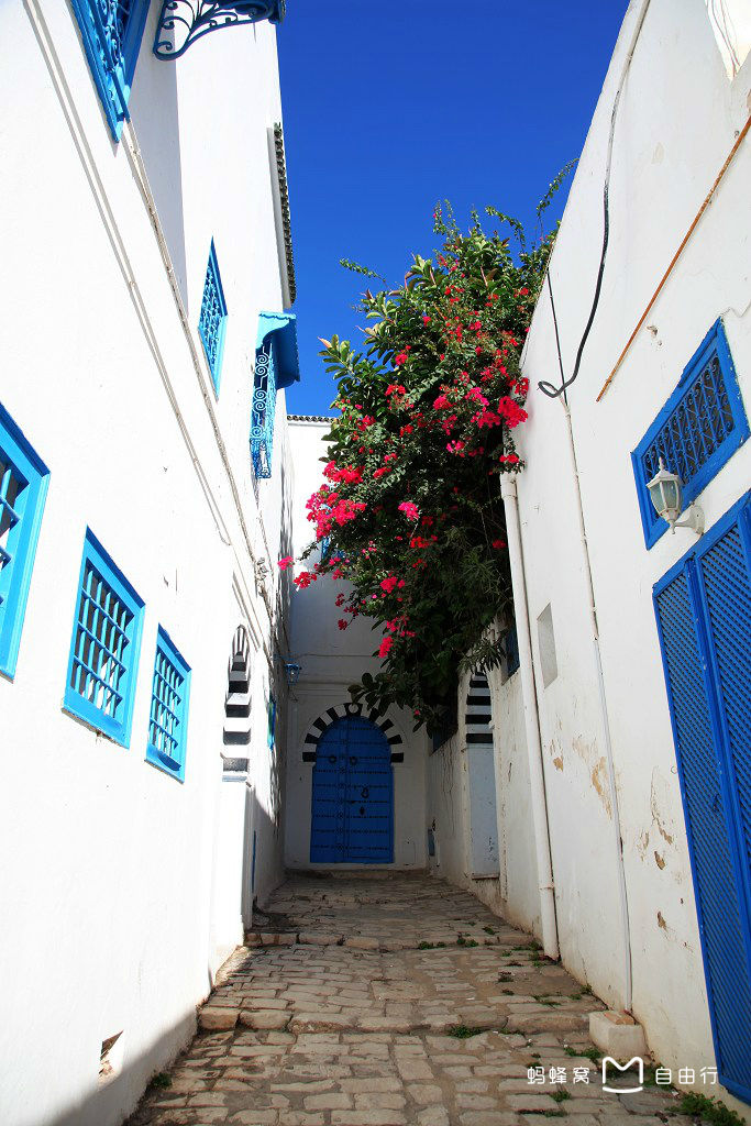 Bryony Maxwell tweet media