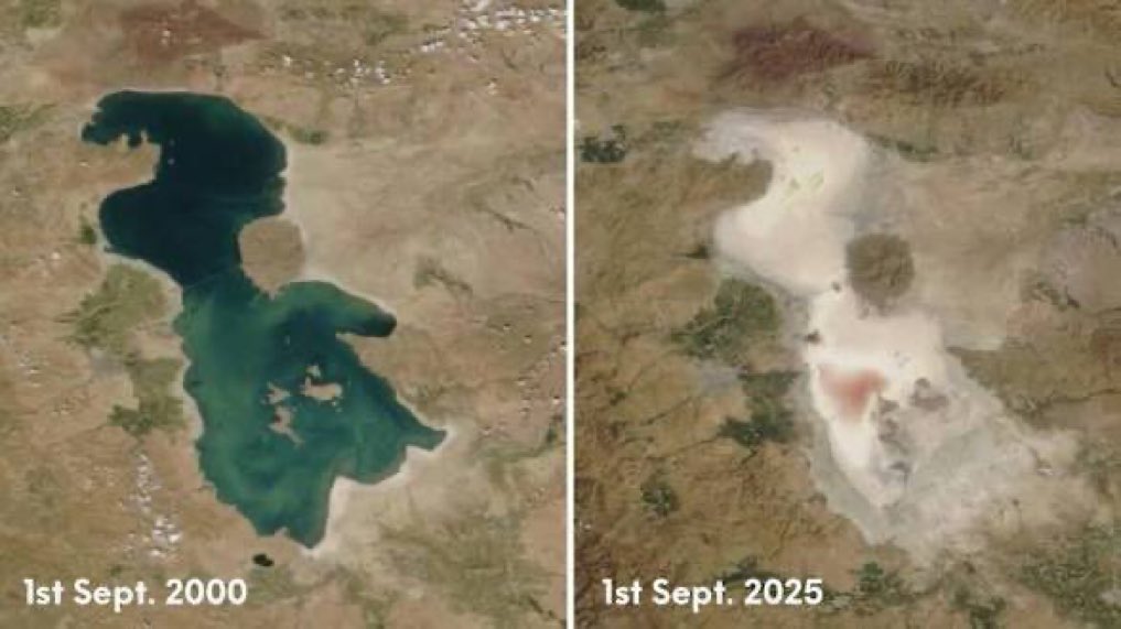 Dean Sharafi tweet media