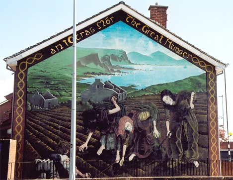 Peter Irvine tweet media