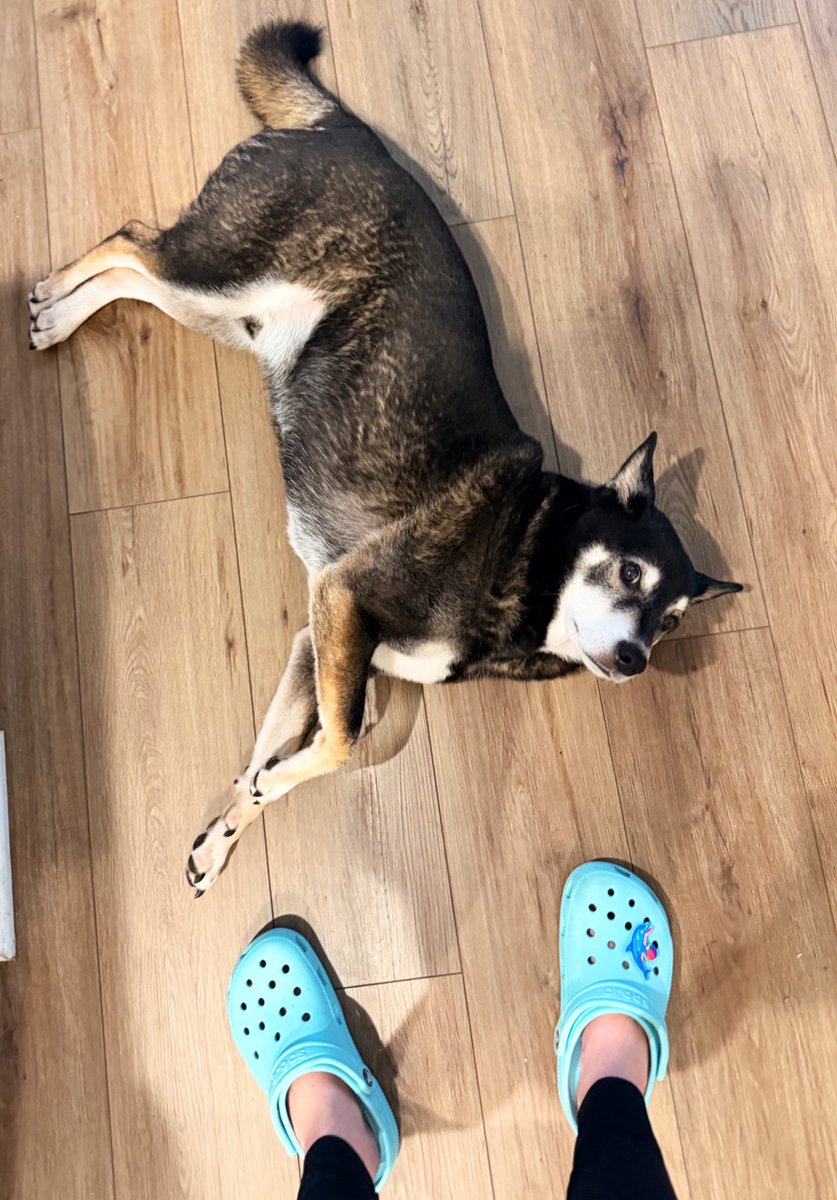 Hoshizora Sakura 🌸✨Vtuber tweet media