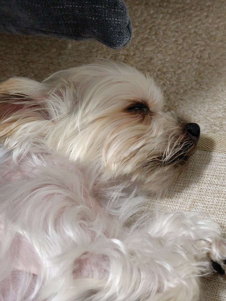 玲 (@deadendghost) on Twitter photo 