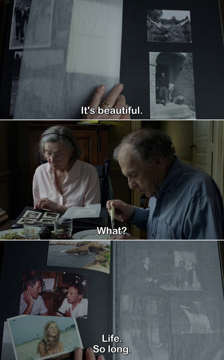 DepressedBergman tweet media