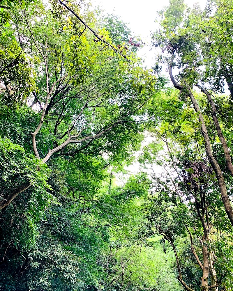 ✿ 𝒛𝒆𝒓𝒐 ✿´ ꒳ ` )☕ tweet media