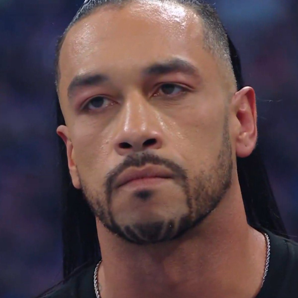 Hunting Hawk tweet media