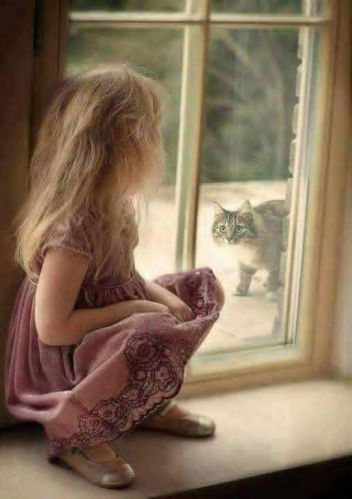 🎀حورية بحر الجليد tweet media