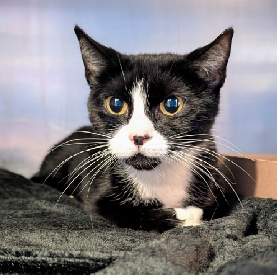 Jack5928 tweet media