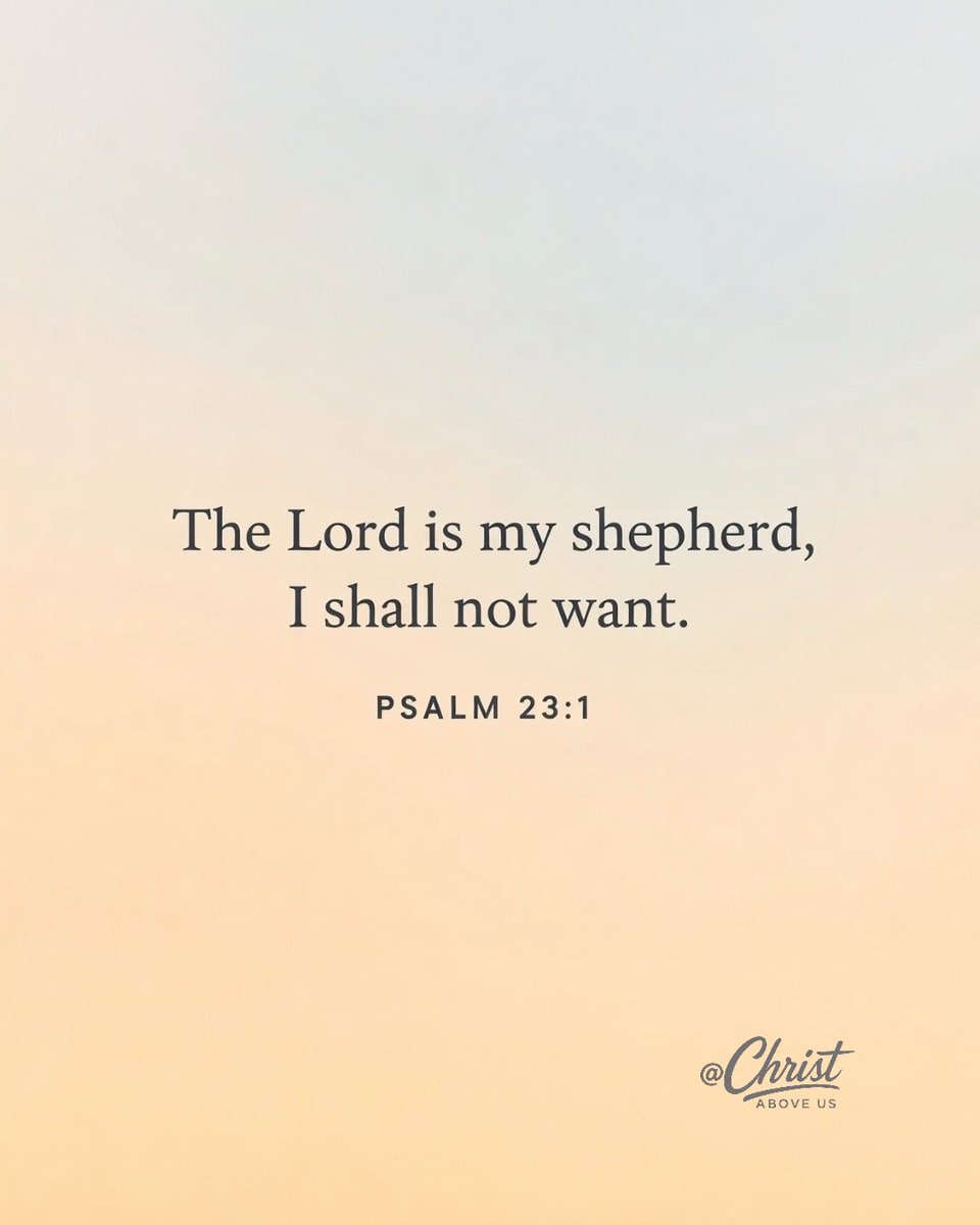 Christ Above Us tweet media