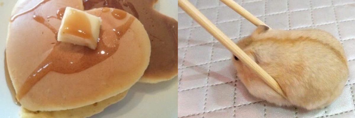 lizzy ʚɞ ⁺˖ ⸝⸝ tweet media