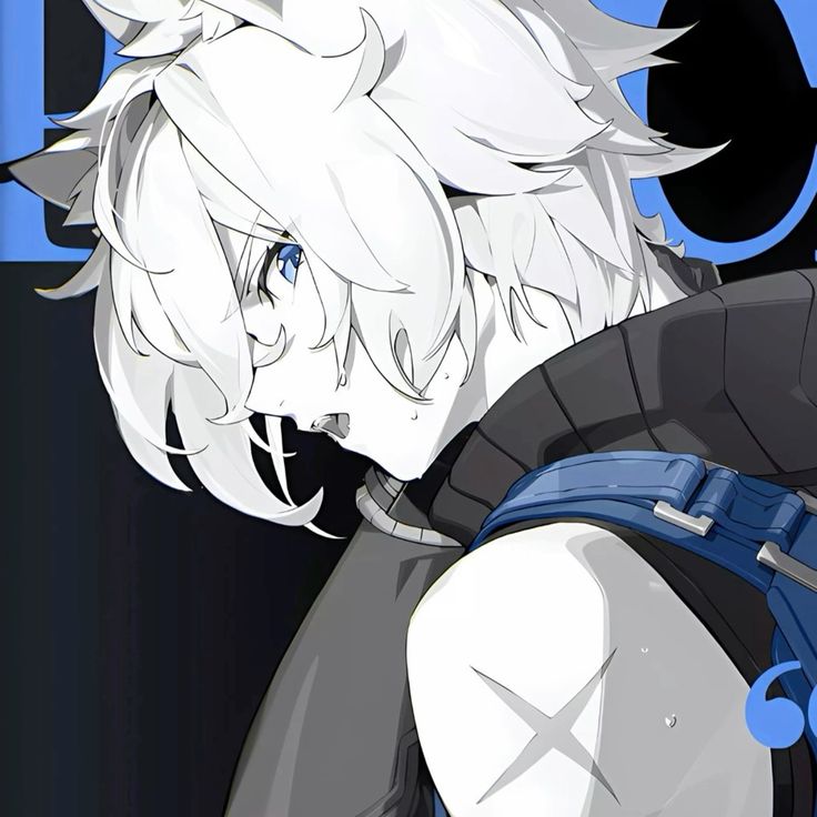 𝘷𝘪𝘷𝘭𝘰𝘴​ᅠᅠ‍ᅠᅠ‍ ᅠᅠ‍┈─ 💙⋆𐙚₊ tweet media