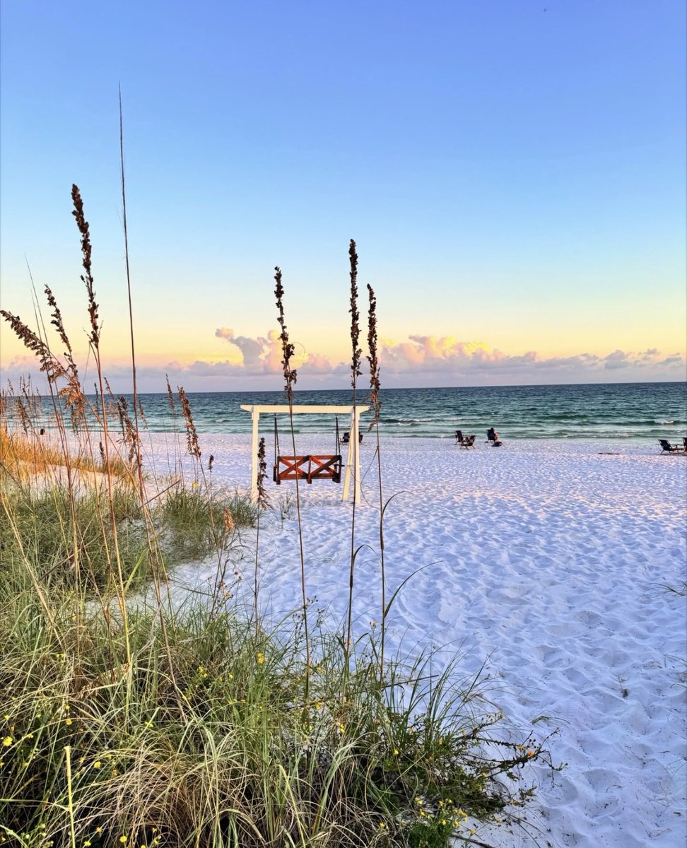 Libbi 🐶💁🏻‍♀️🌸 tweet media