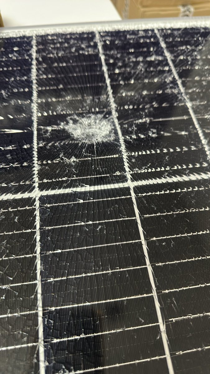 Басылаев 🇷🇺 🤝 tweet media