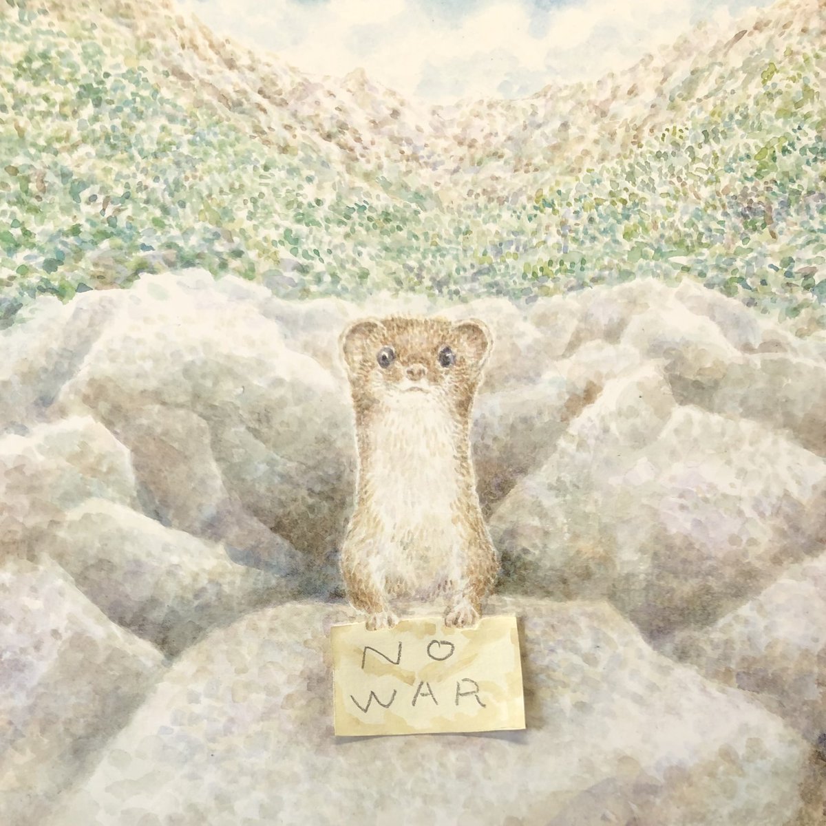 カイズケン(よたか堂）絵本「おこじょへのてがみ」 tweet media