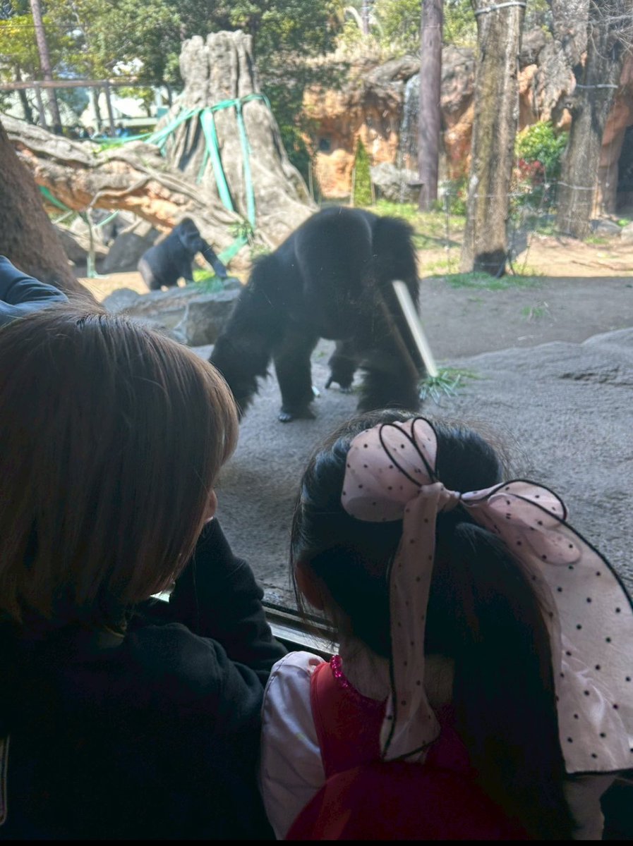 ゆか姉🧸yukamanias🤘 tweet media