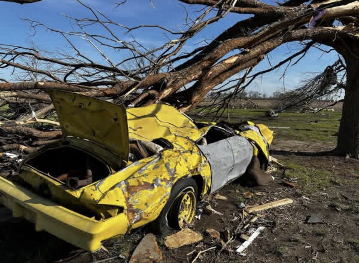 Jaden Pappenheim tweet media