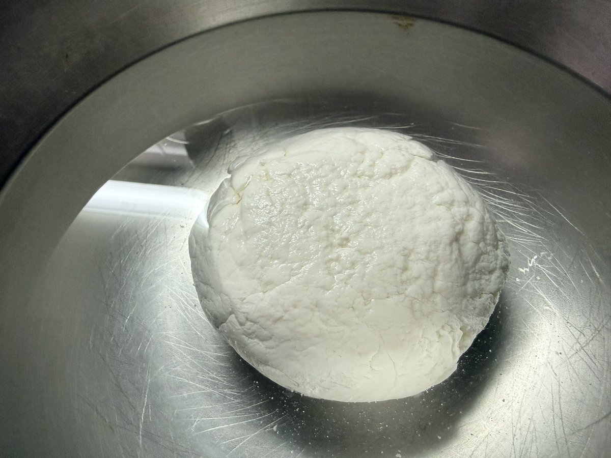 Priscilla tweet media