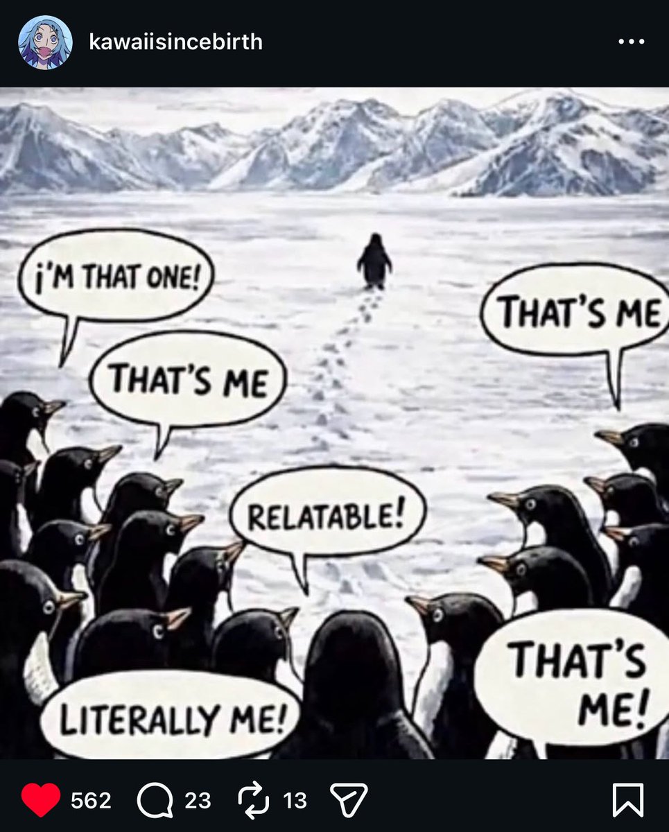 snow strippers archive tweet media