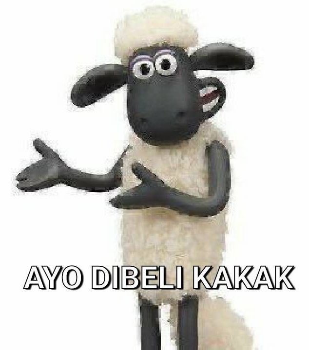 Quina🌞 jual followers ig instagram tiktok murah tweet media