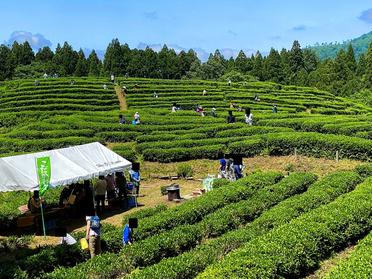 ASTAT（AWL） tweet media