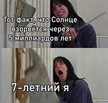 ну очень большой котенок tweet media