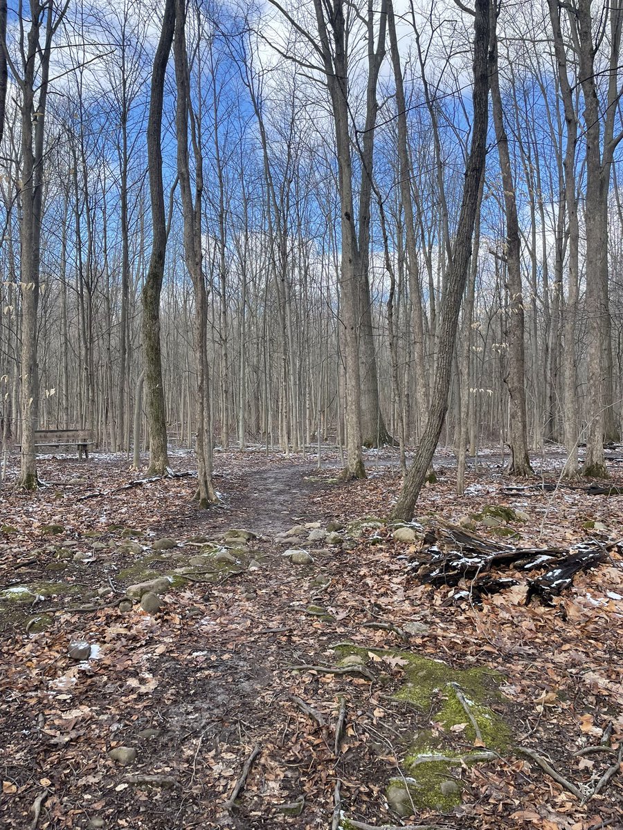 Joseph Enthusiast tweet media