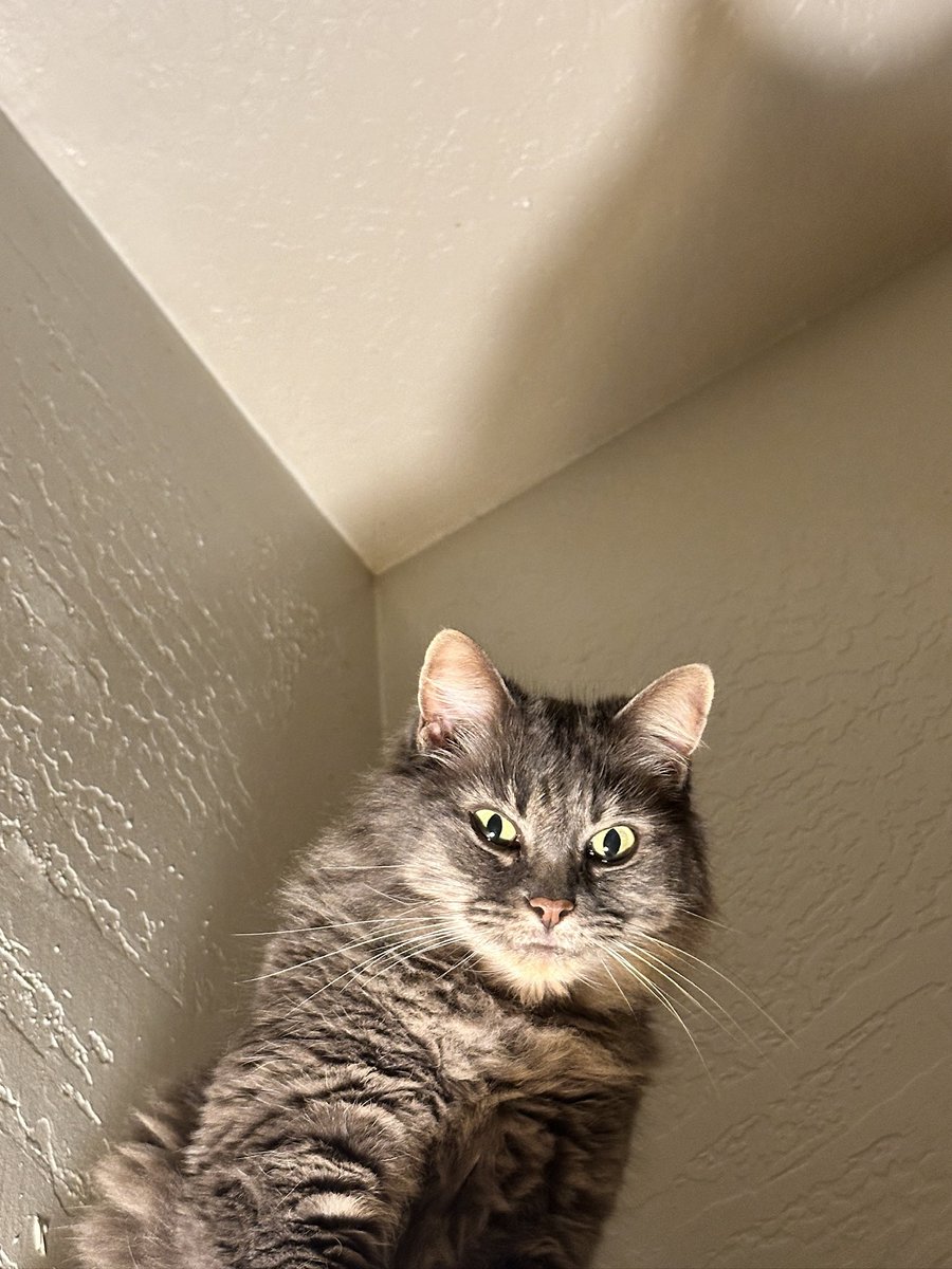 Sweaty Freddy 🏴‍☠️ tweet media