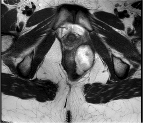 JPGN Reports tweet media