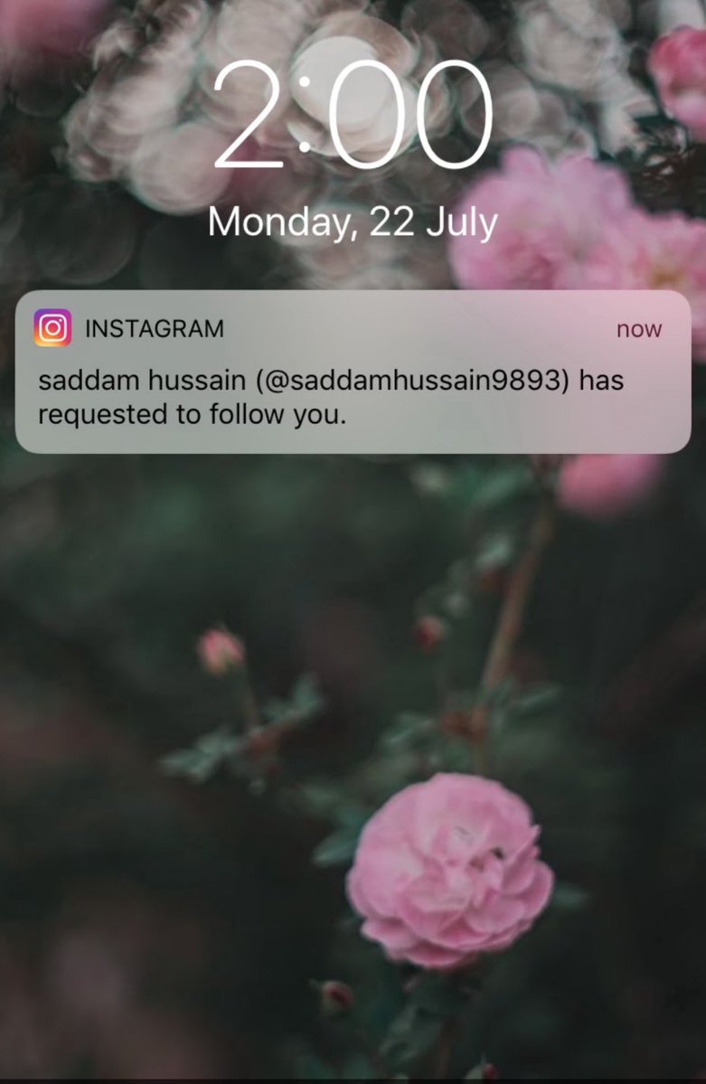 ajeeeboghareeb tweet media