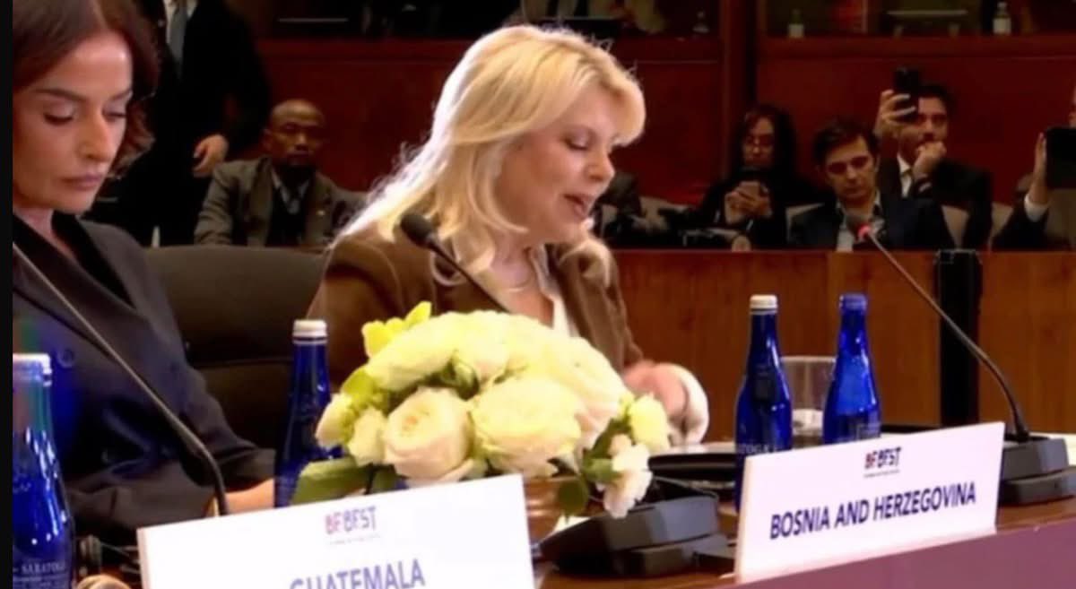 Nedim ⚜️ tweet media