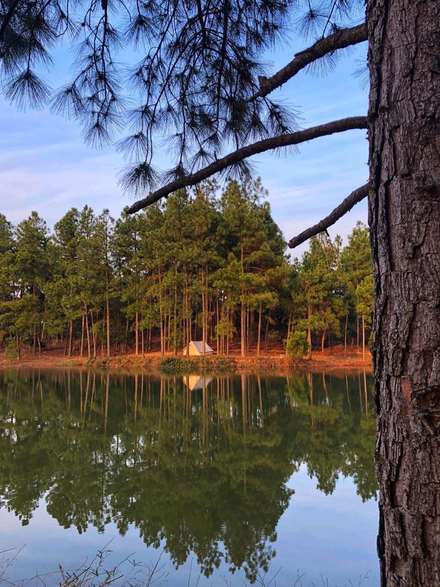 Ravi Pandey tweet media