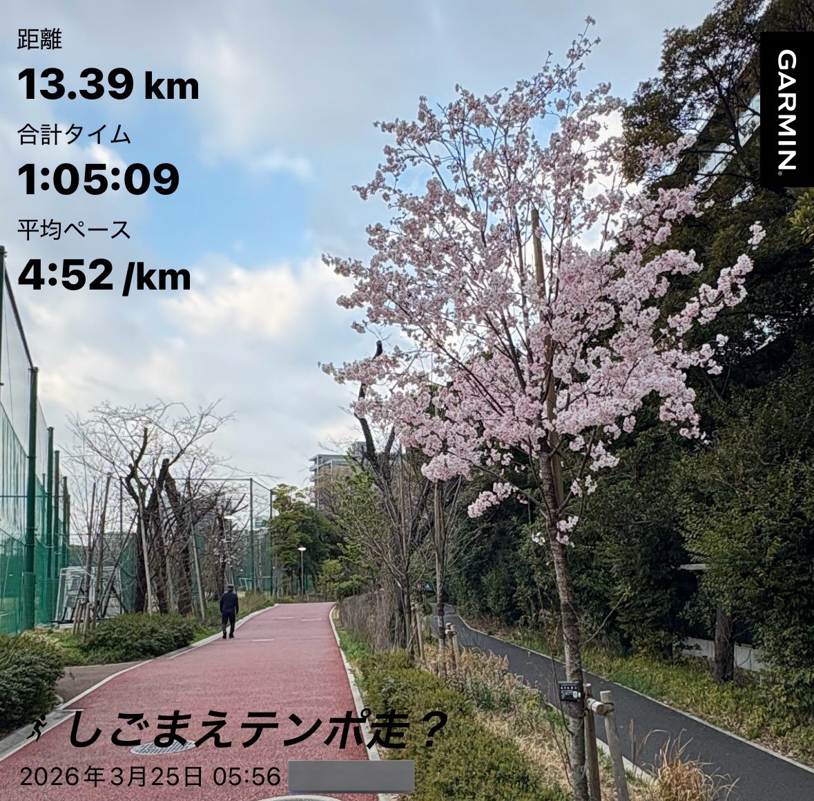 ざるざる・サード (4/19かすみがうら、5/9君津ウルトラ） tweet media