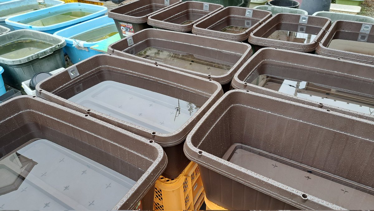 安らぎAQUAちゃんねる【YouTube】 tweet media