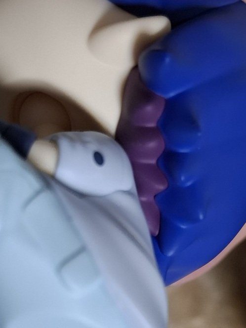 みわ🍮 tweet media