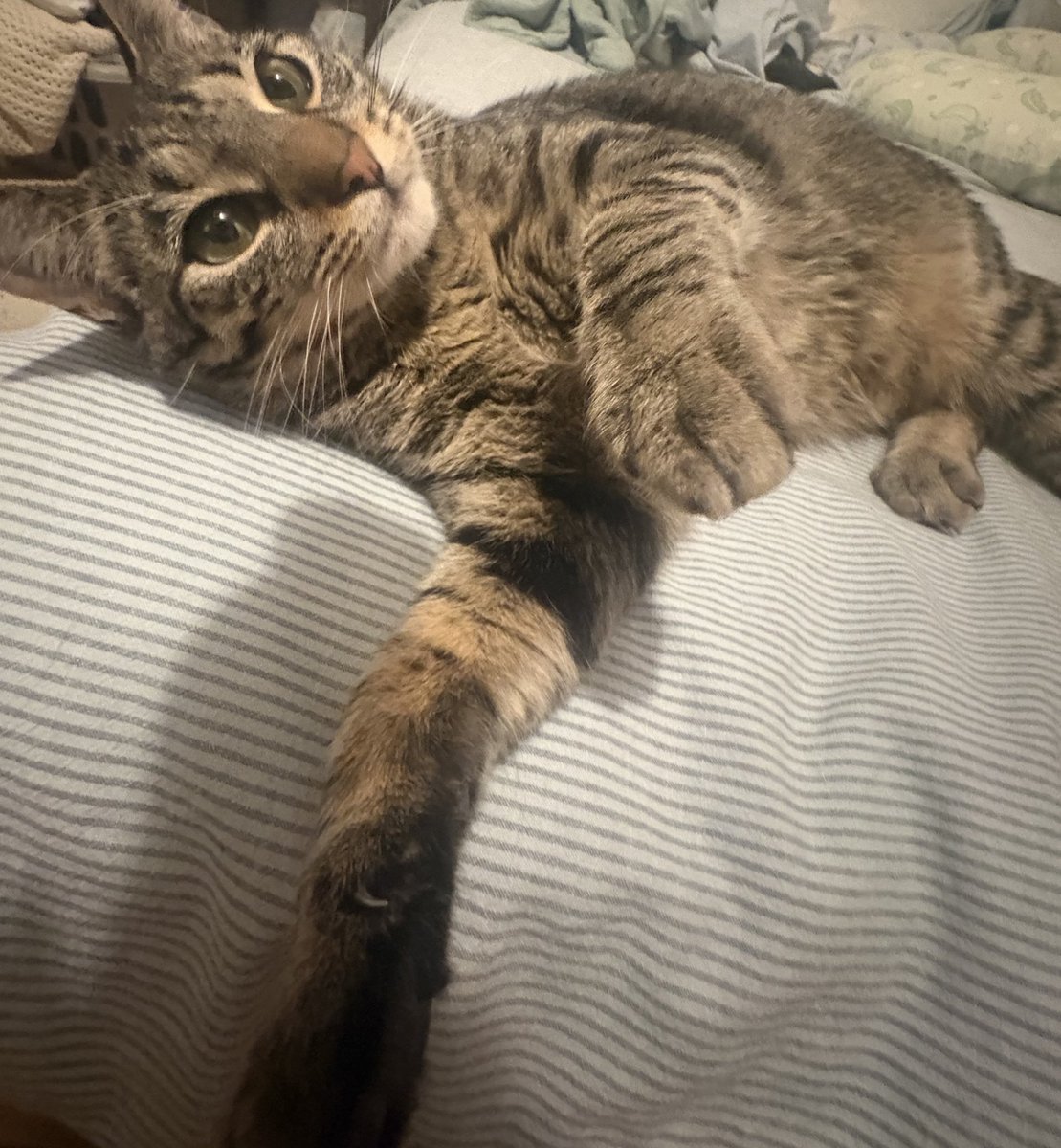 randOver tweet media