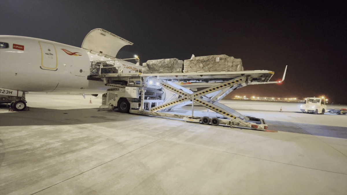 nasrelgamed tweet media