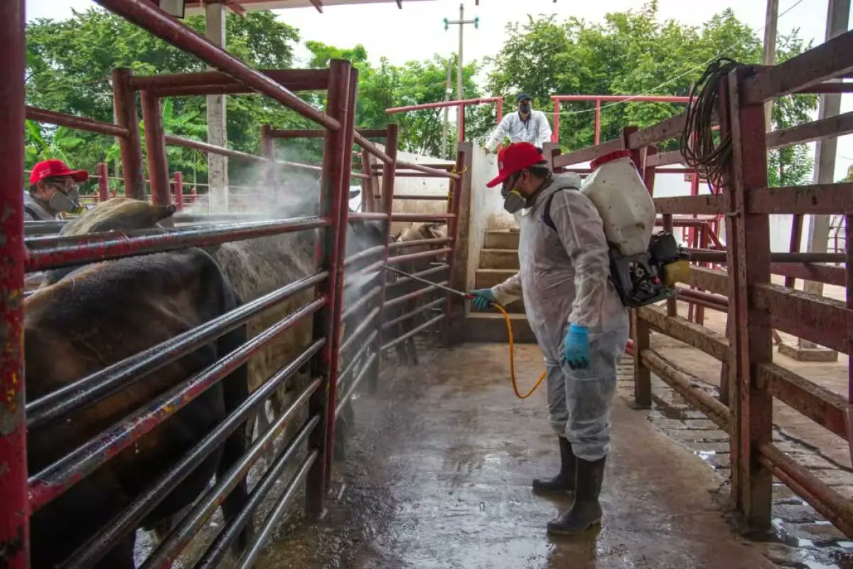 Noticieros Cadena RASA tweet media