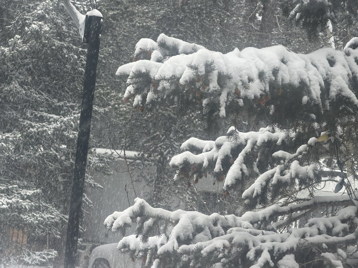 Tom Graham tweet media