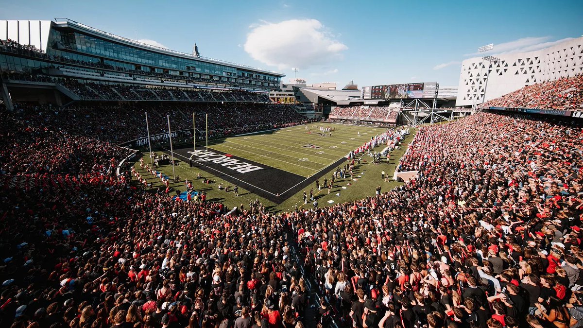 Tee Hollifield tweet media