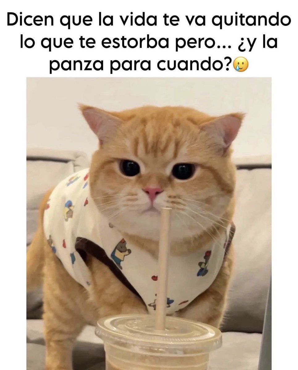 Michɘllǝ ༘⋆⭑⋆｡ᝰ.ᐟ tweet media