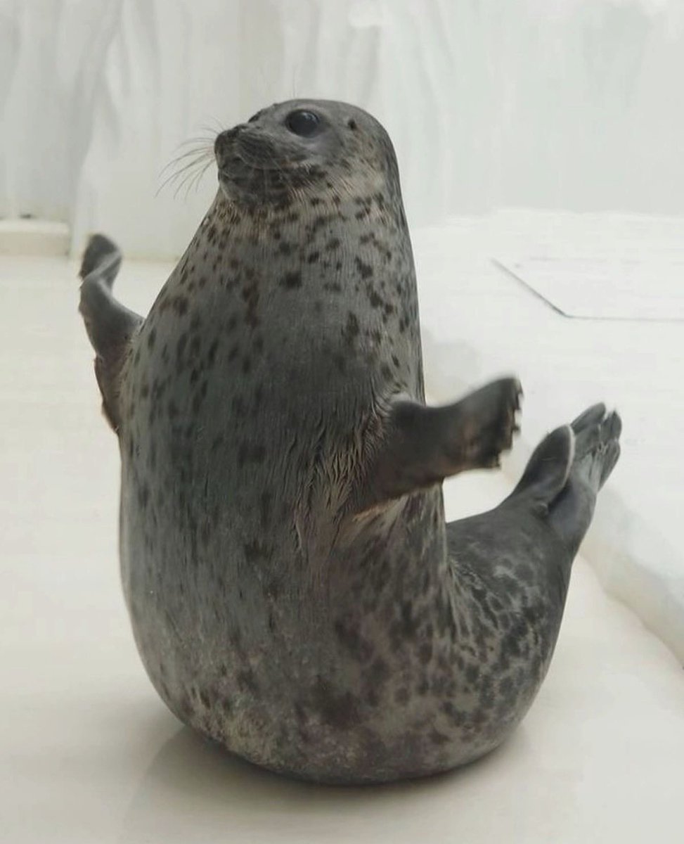 ari ! ˙⋆✮ 🎱 tweet media