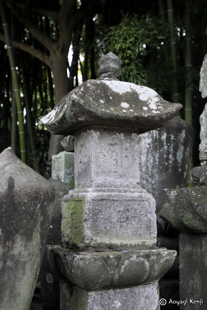 青柳健二＠猫はなぜ祭られたのか？旅のエッセイ『全国の猫神様をめぐる』 tweet media