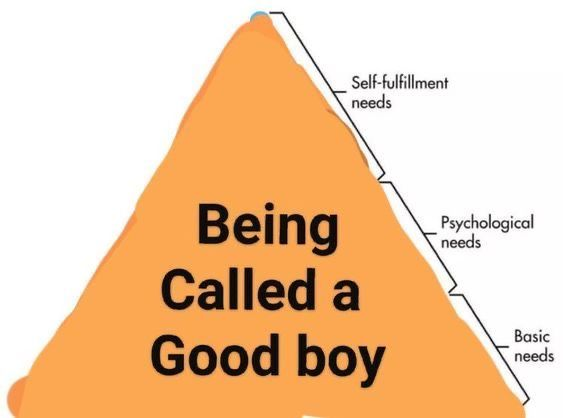 FurryFollowing tweet media