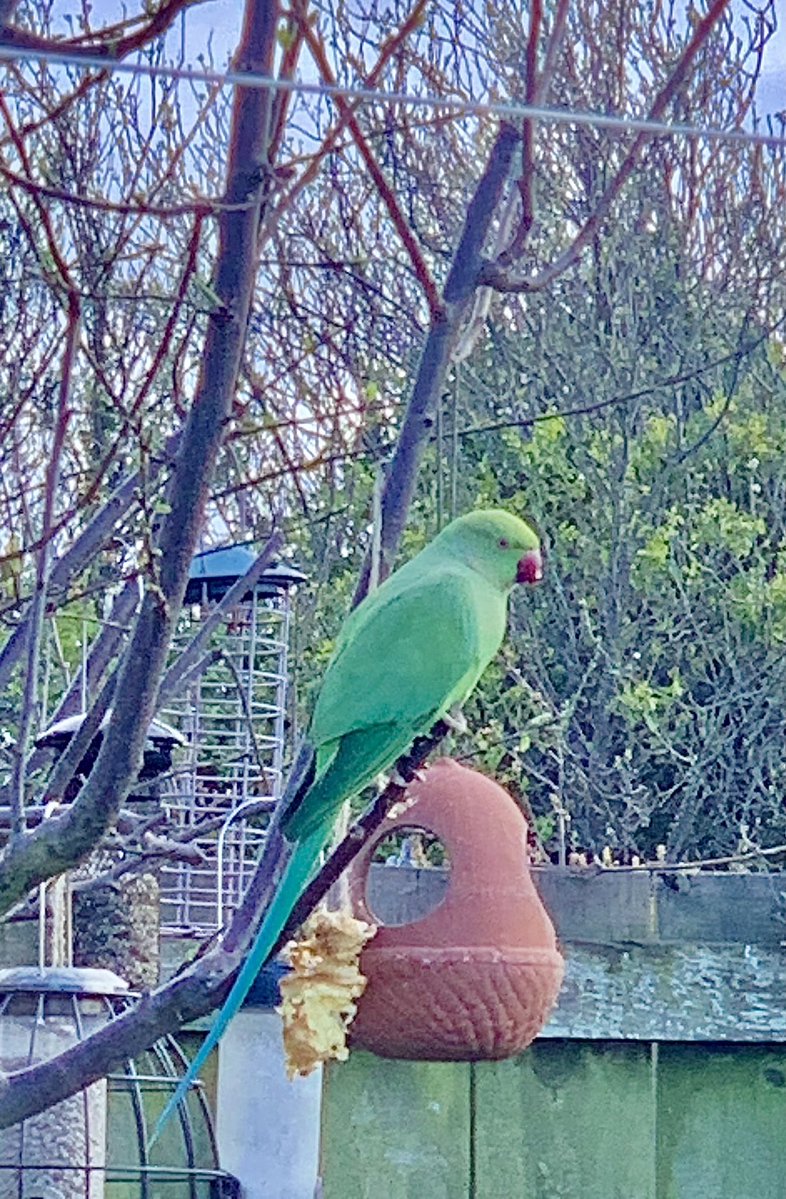 Sparty Lea tweet media