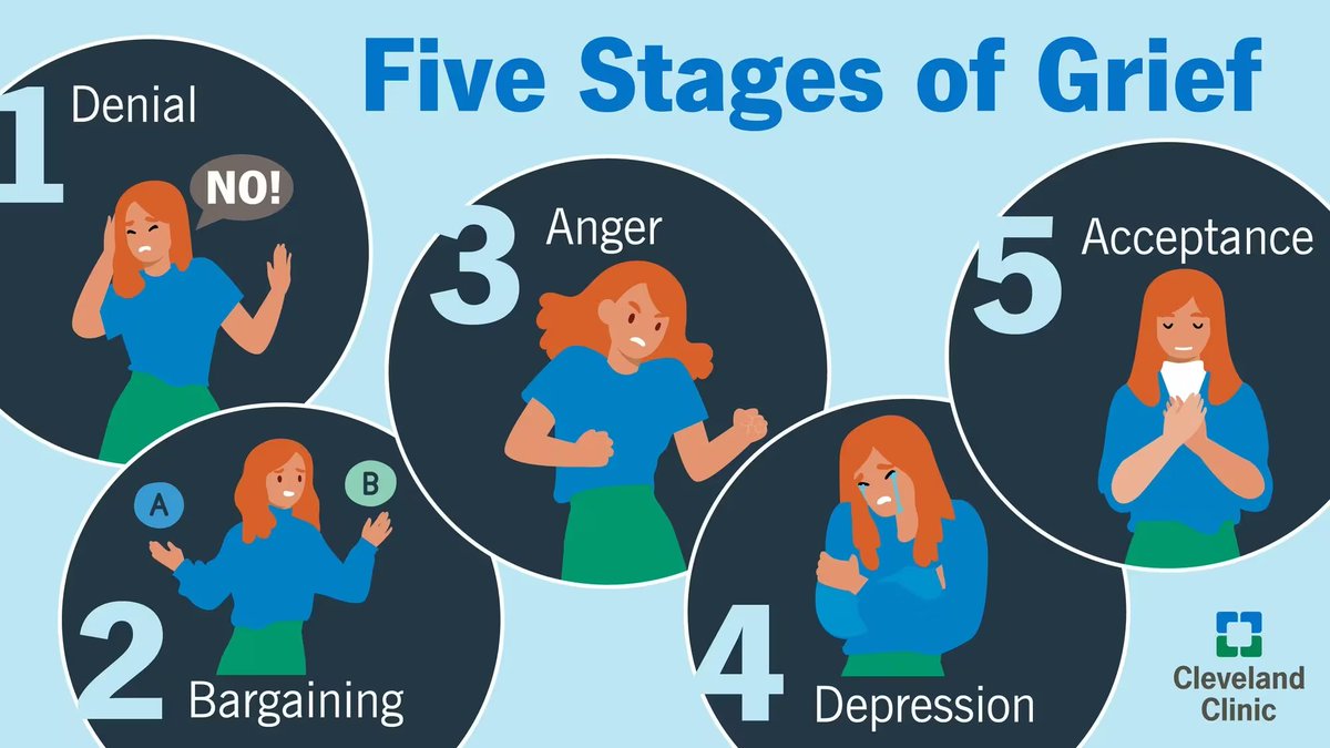 Dragolii tweet media